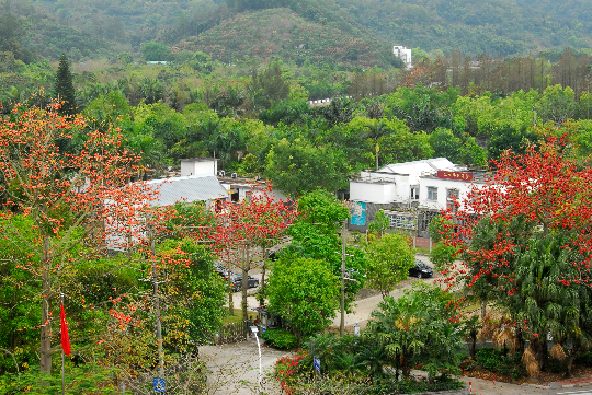 深圳市兰科植物保护研究中心自然教育园区全貌.JPG