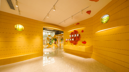红花油茶展览馆4.jpg