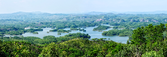 12.孔江湿地全景（基地自然风光）.jpg