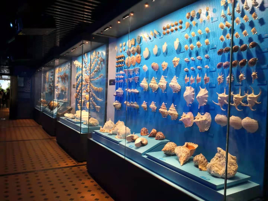 华南农业博物馆海洋展厅.jpg