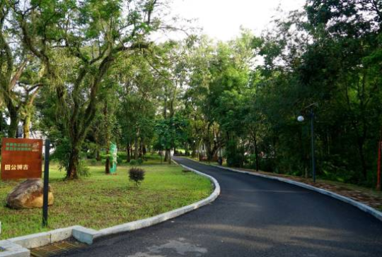 温厝村古树公园。