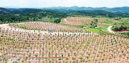 封开县南丰镇开明村