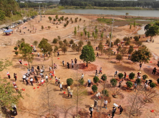 广州增城石滩镇增塘基地
