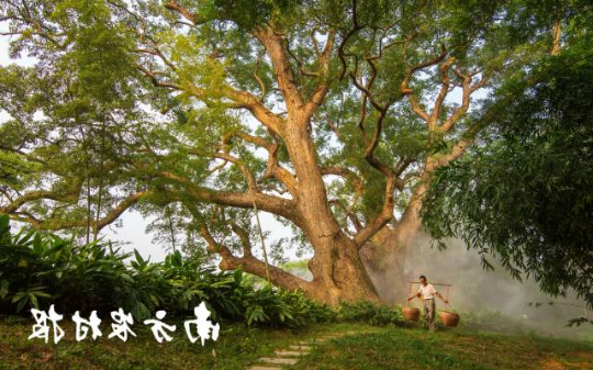 韶关市仁化县董塘镇大井村。赖继平 摄