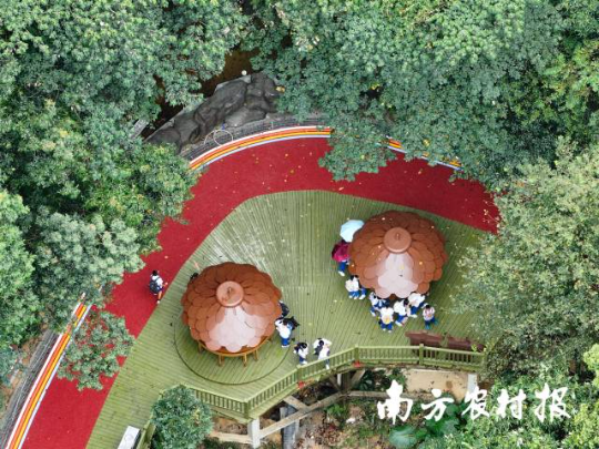 受访者供图