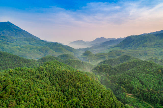 如今，岳山造林光荣传统激励着一代代肇庆人对绿色的热爱与追求。伍尚慧摄