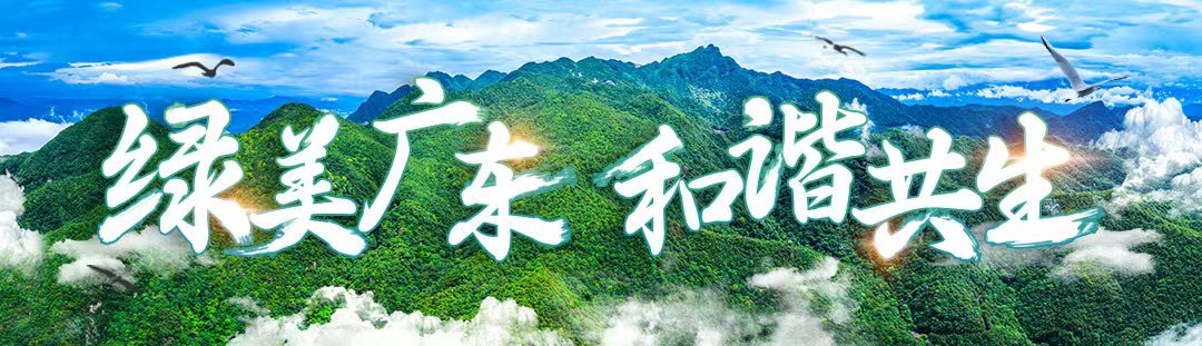 亚洲博彩平台排名