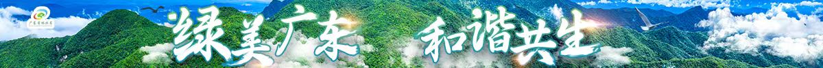 亚洲博彩平台排名