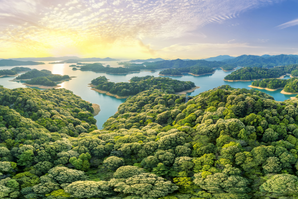 宣传海报